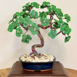 Green Bougainvillea