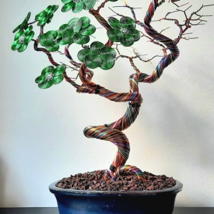 Green Bougainvillea