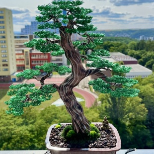 Hornbeam