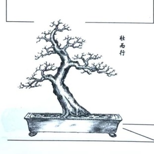 Hornbeam