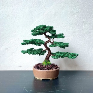 Juniper Shohin I.