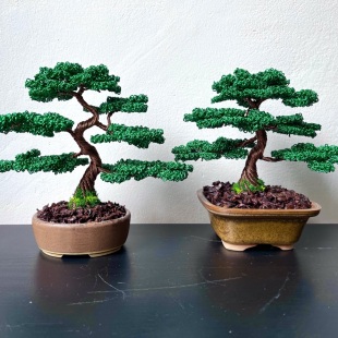 Juniper Shohin II.