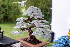 Japonské dny v Průhonicích 2026