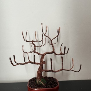 Kichi Shohin