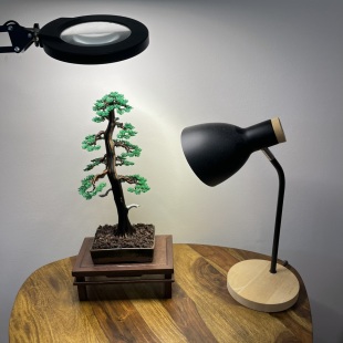 Larch II.
