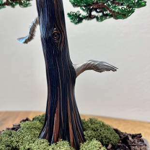 Larch II.