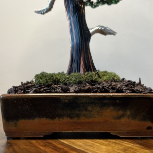 Larch II.