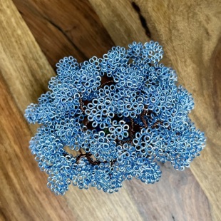 Mame Blue