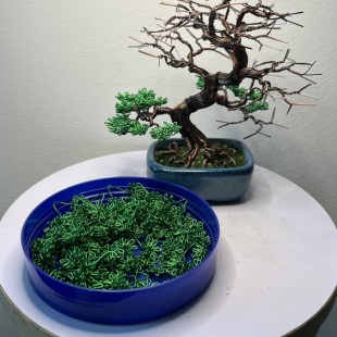 Mame Green II.
