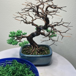 Mame Green II.