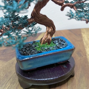 Mame Pine