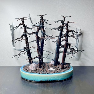 Mini Autumn Forest