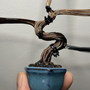 Mini Sakura