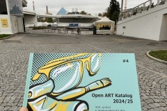 Open Art Festival 2024
