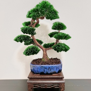 Pine Bark I