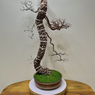 Pine Bunjin