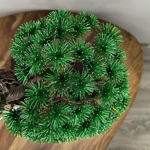 Pine Bunjin