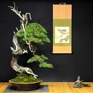 Pine Bunjin