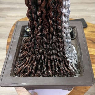 Pine Cascade (Chinese Dragon)
