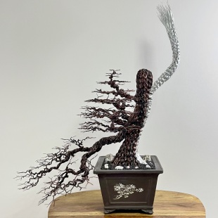 Pine Cascade (Chinese Dragon)