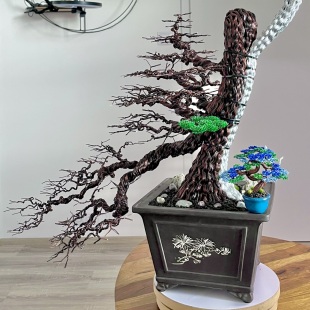 Pine Cascade (Chinese Dragon)