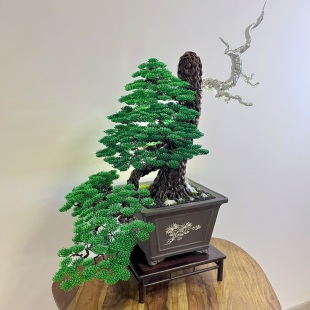 Pine Cascade (Chinese Dragon)