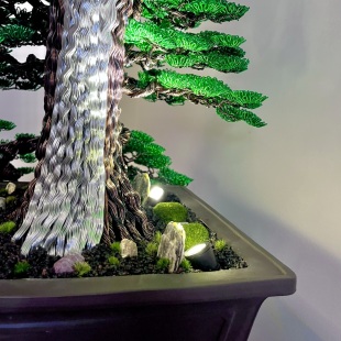 Pine Cascade (Chinese Dragon)