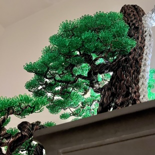 Pine Cascade (Chinese Dragon)