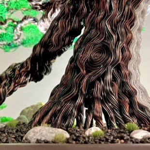 Pine Cascade (Chinese Dragon)