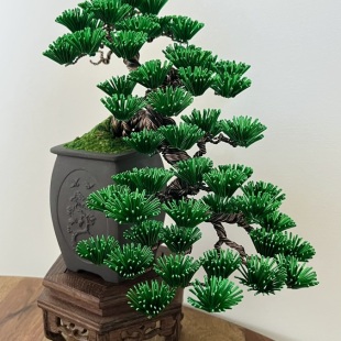 Pine Cascade I.