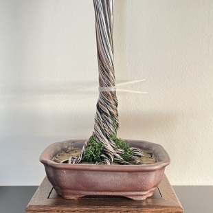 Pine (custom made)