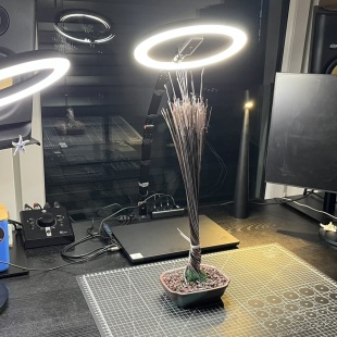 Pine (custom made)