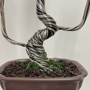 Pine (custom made)