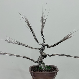 Pine (custom made)
