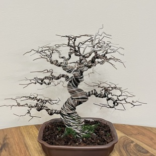 Pine (custom made)