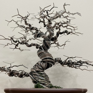 Pine (custom made)