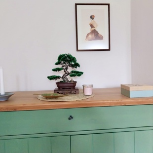 Pine (custom made)