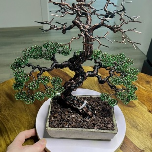 Pine II.
