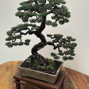 Pine II.