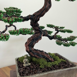 Pine II.