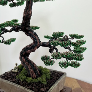 Pine II.