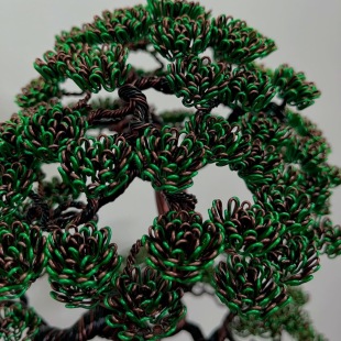 Pine II.
