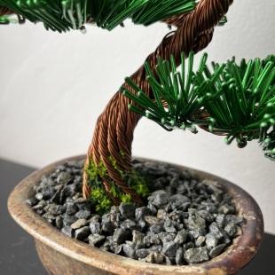 Pine Shohin I.