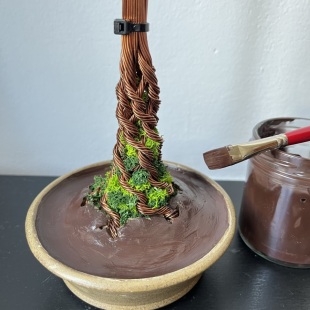 Pine Shohin II.