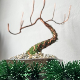 Pine Shohin III.