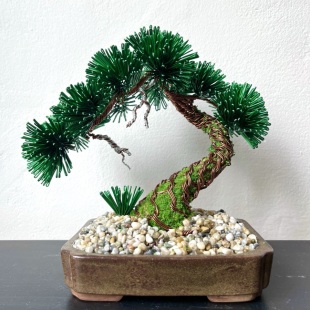 Pine Shohin III.