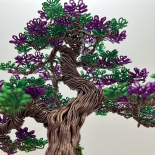 Shohin Purple Azalea
