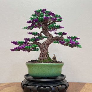 Shohin Purple Azalea
