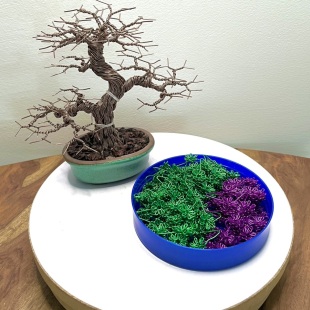 Shohin Purple Azalea
