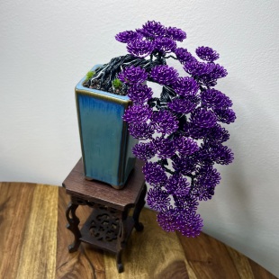 Purple Cascade